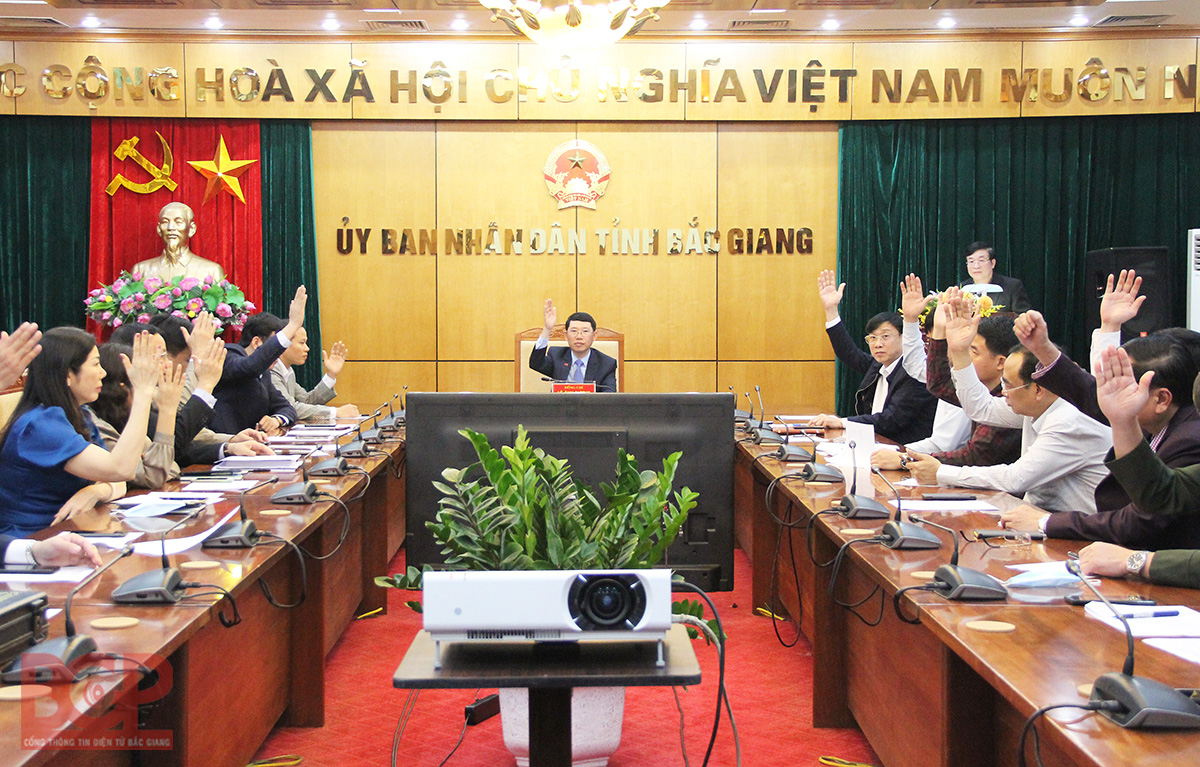 Bắc Giang: Giới thiệu người ứng cử đại biểu HĐND tỉnh nhiệm kỳ 2021 - 2026