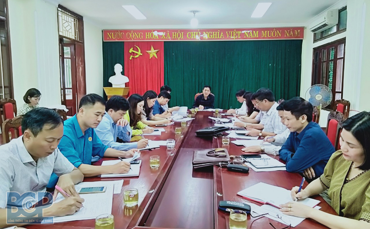 Kiểm tra công tác tuyên truyền bầu cử tại huyện Lục Nam
